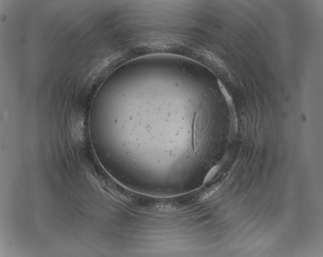 X0000072550596200607211401