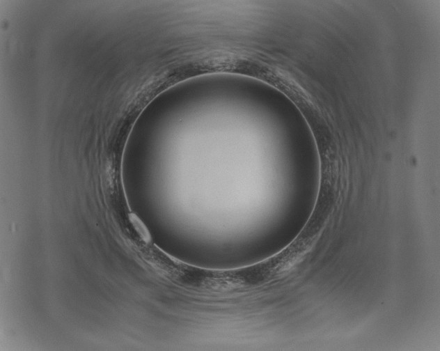 X0000072550597200607211401