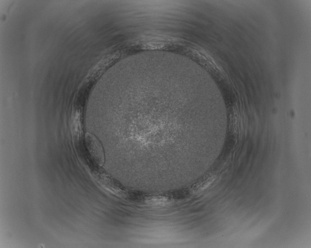 X0000072550598200607211401