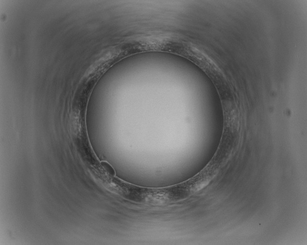 X0000072550599200607211401