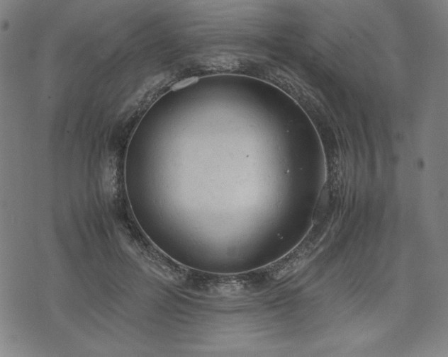 X0000072550600200607211401