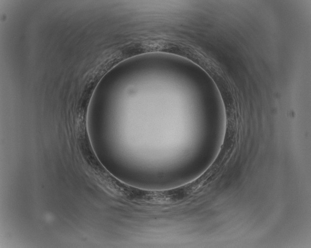 X0000072550601200607211401