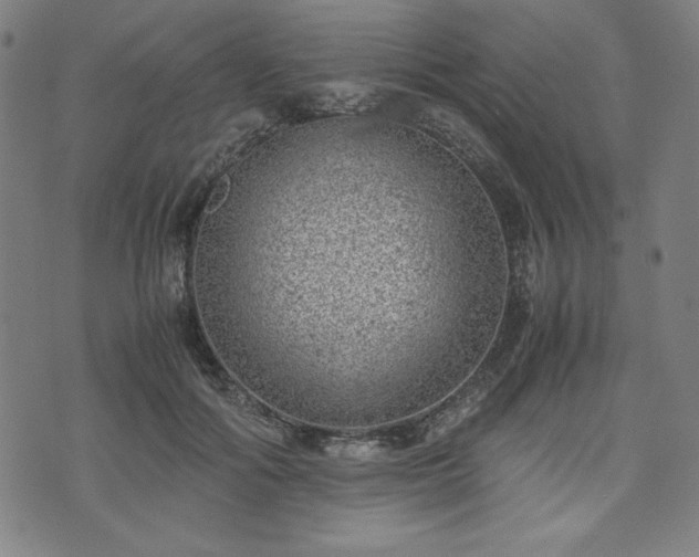 X0000072550602200607211401