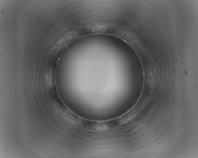 X0000072550604200607211401