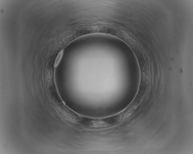 X0000072550605200607211401