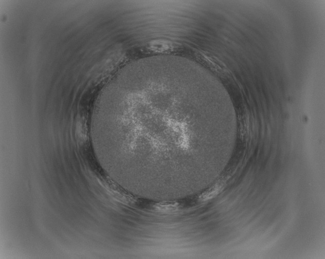 X0000072550606200607211401