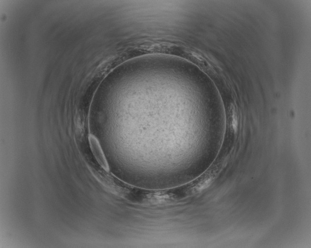 X0000072550607200607211401