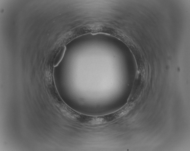 X0000072550609200607211401