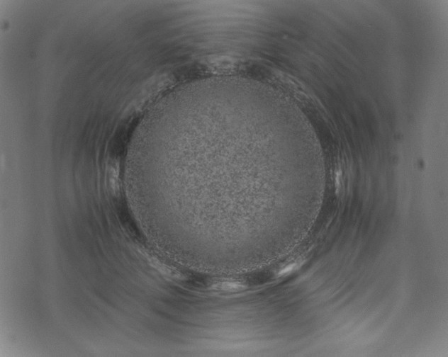 X0000072550610200607211401