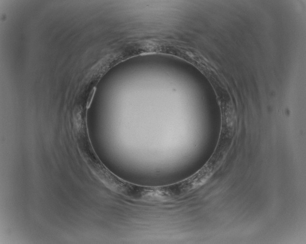 X0000072550611200607211401