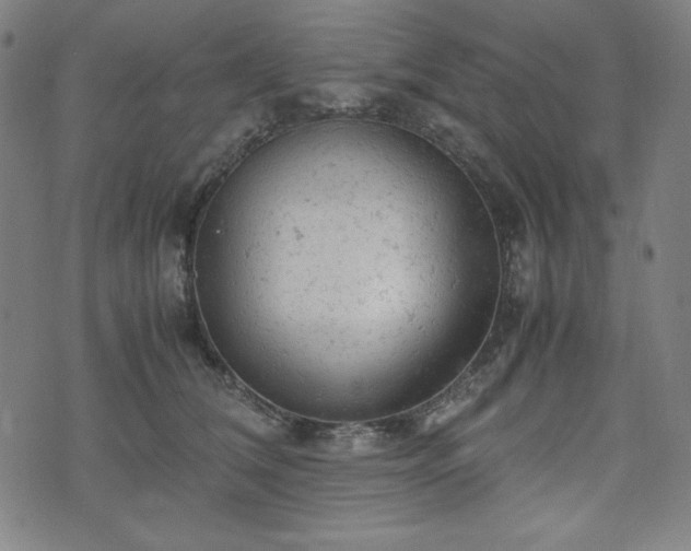 X0000072550612200607211401