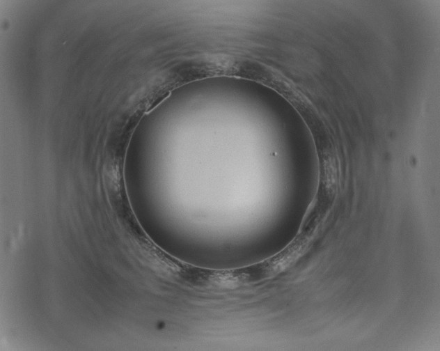 X0000072550613200607211401