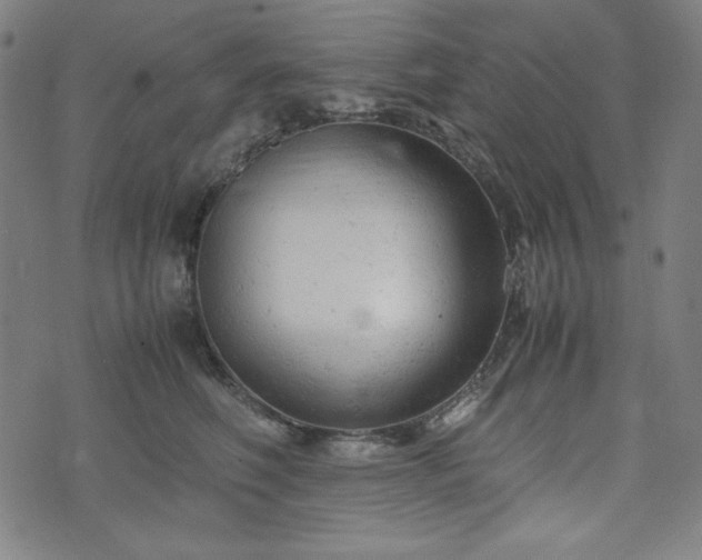 X0000072550614200607211401