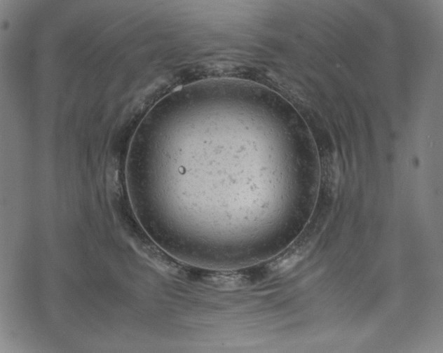 X0000072550615200607211401