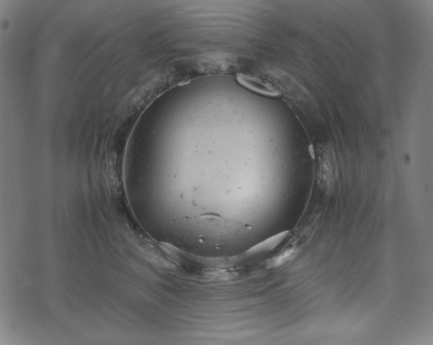 X0000072550616200607211401