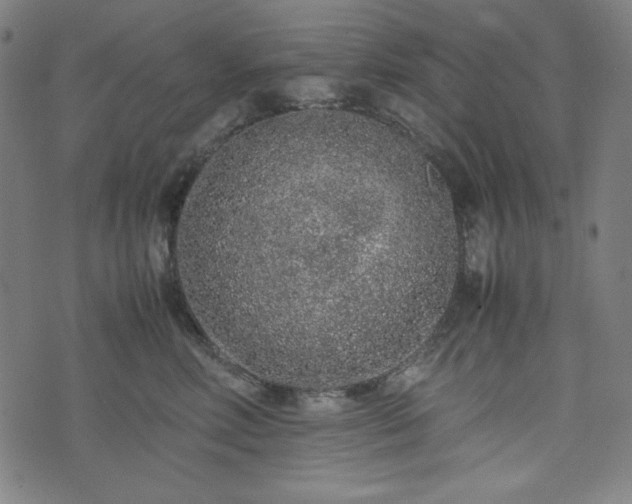 X0000072550618200607211401