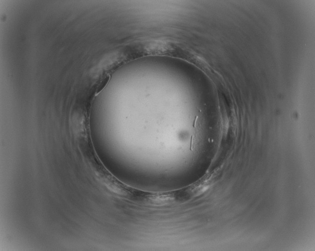 X0000072550619200607211401