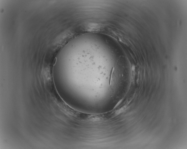 X0000072550620200607211400