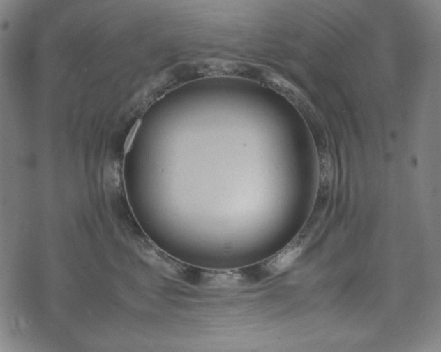 X0000072550621200607211400