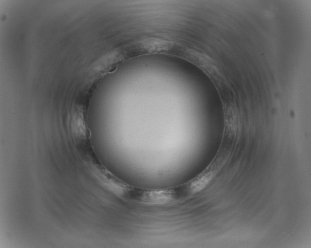 X0000072550622200607211400