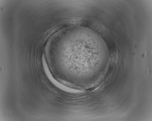 X0000072550623200607211400