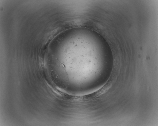 X0000072550624200607211400