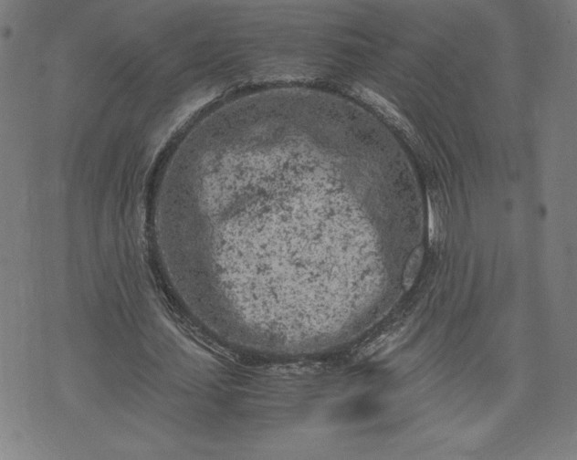 X0000072550627200607211400