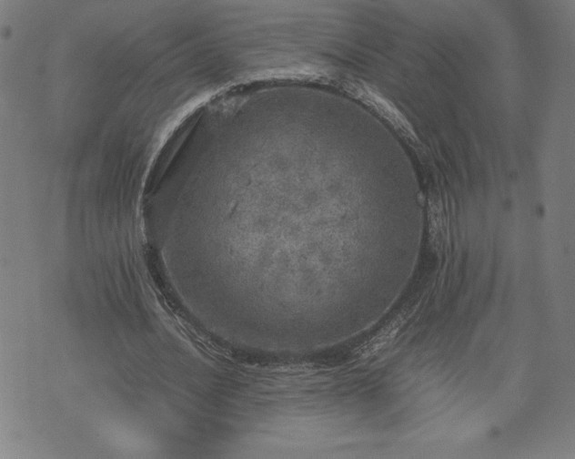 X0000072550628200607211400