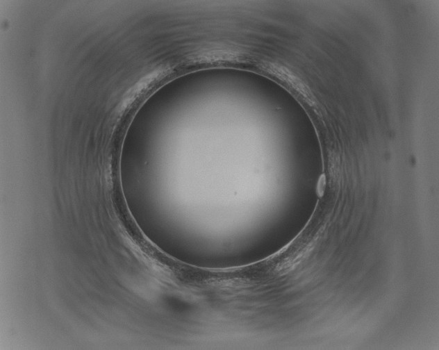 X0000072550629200607211400