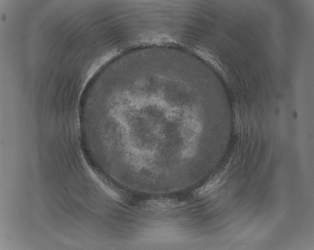 X0000072550630200607211400