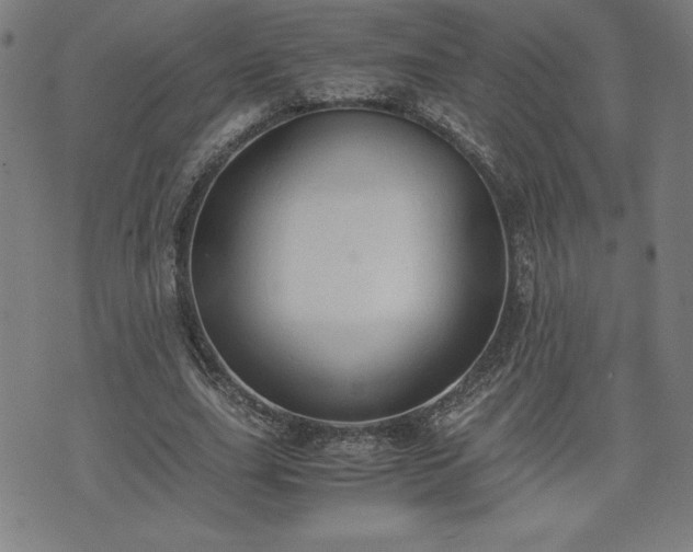 X0000072550631200607211400