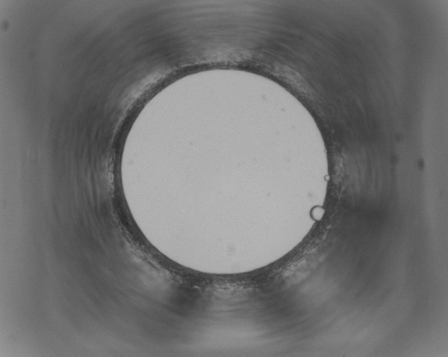 X0000072550632200607211400