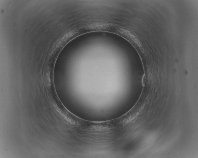 X0000072550633200607211400