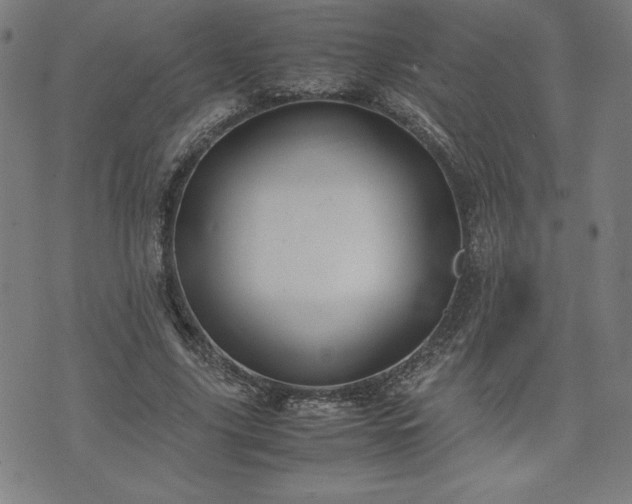 X0000072550635200607211400