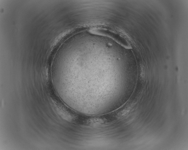 X0000072550636200607211400