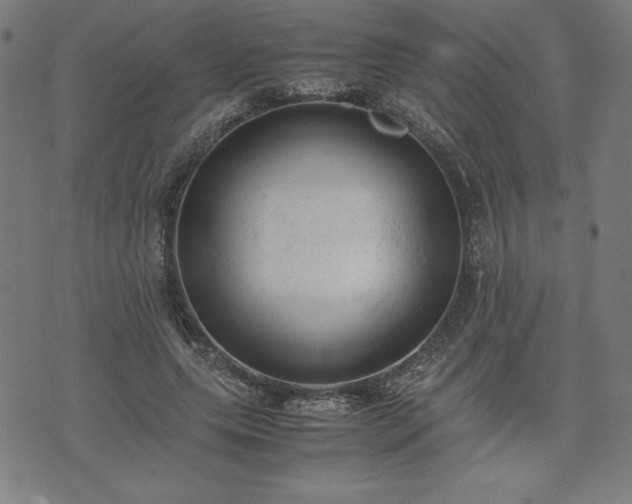 X0000072550639200607211400