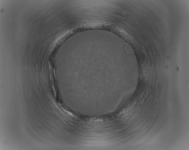 X0000072550640200607211400