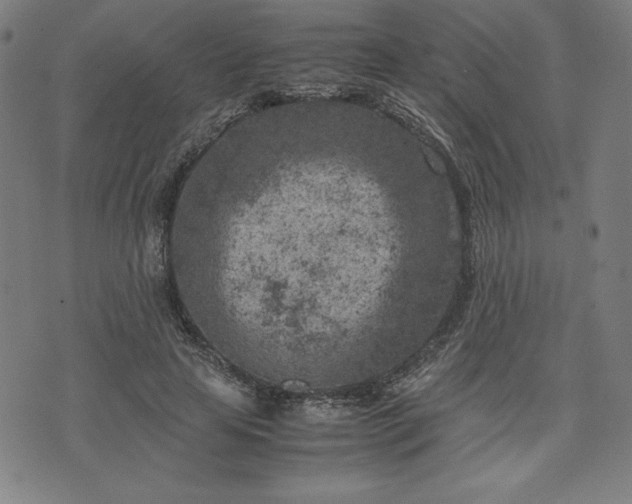 X0000072550641200607211400