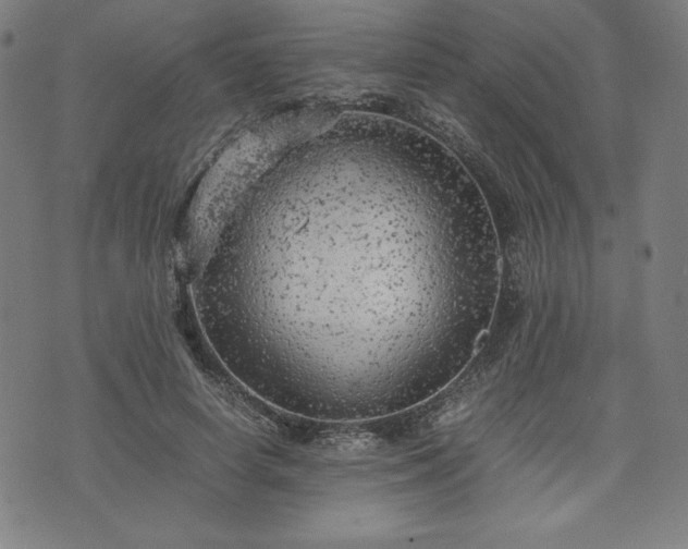 X0000072550642200607211400