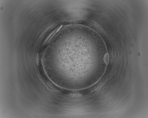 X0000072550644200607211400