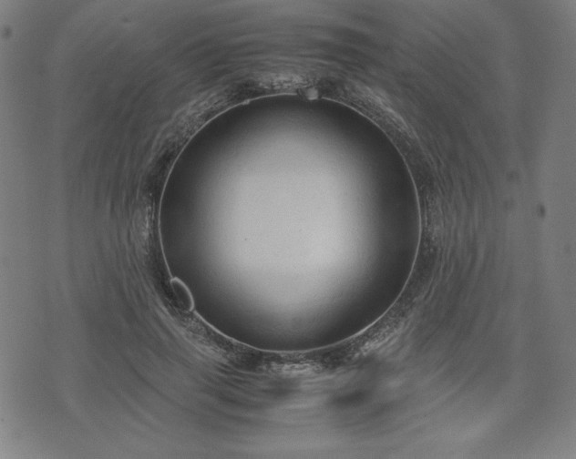 X0000072550645200607211400