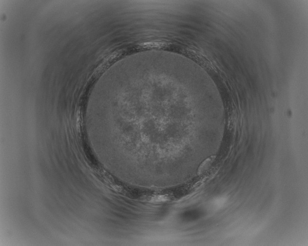 X0000072550647200607211400