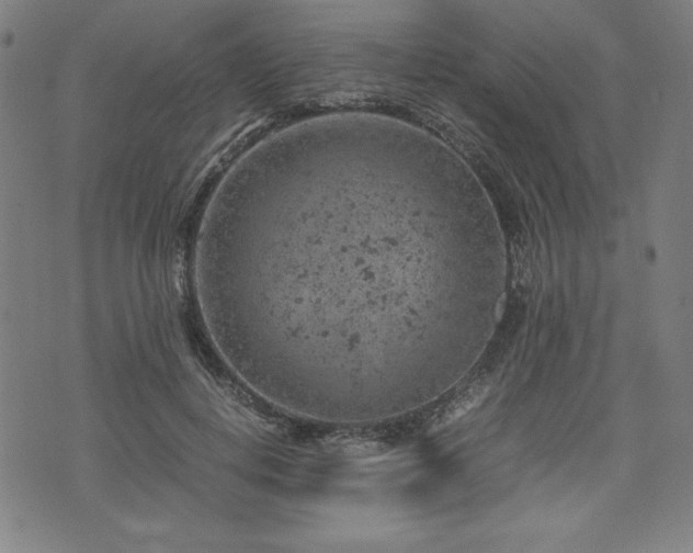 X0000072550648200607211400