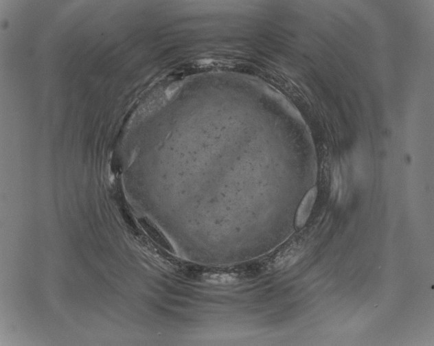 X0000072550649200607211400