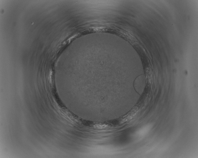 X0000072550650200607211400