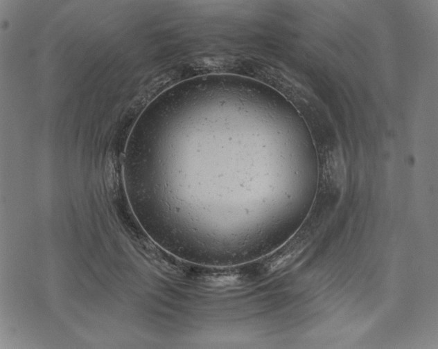 X0000072550651200607211400