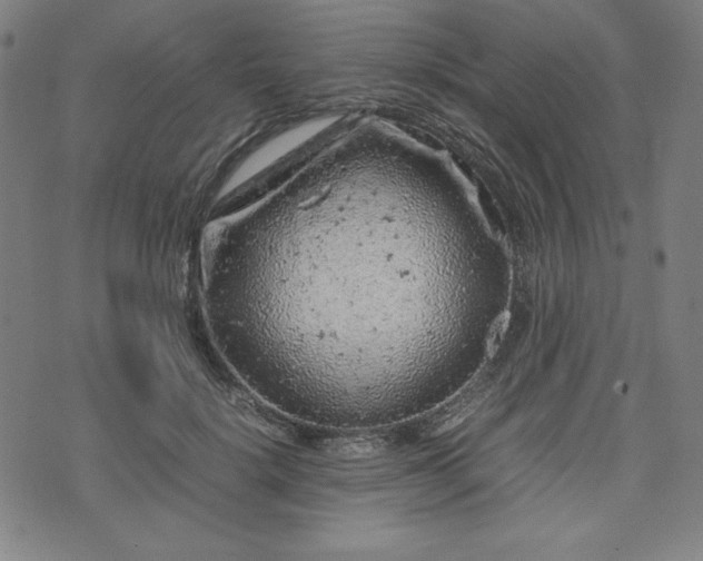 X0000072550652200607211400