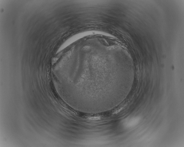 X0000072550653200607211400