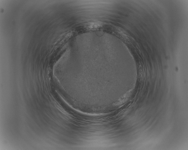 X0000072550654200607211400