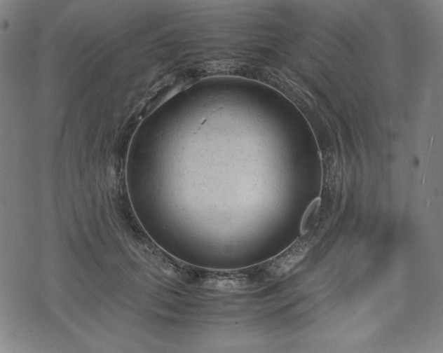 X0000072550655200607211400